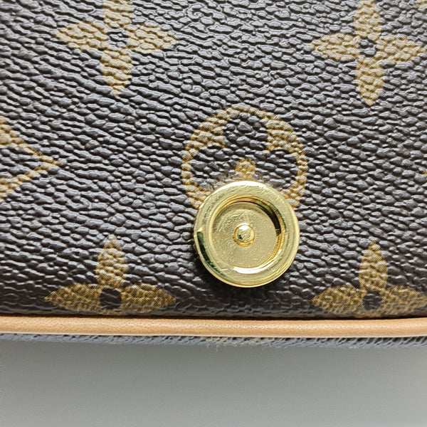 DIANE Nano Monogram Coated Canvas Brown