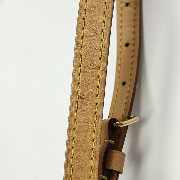 SPEEDY Nano Monogram Coated Canvas Brown