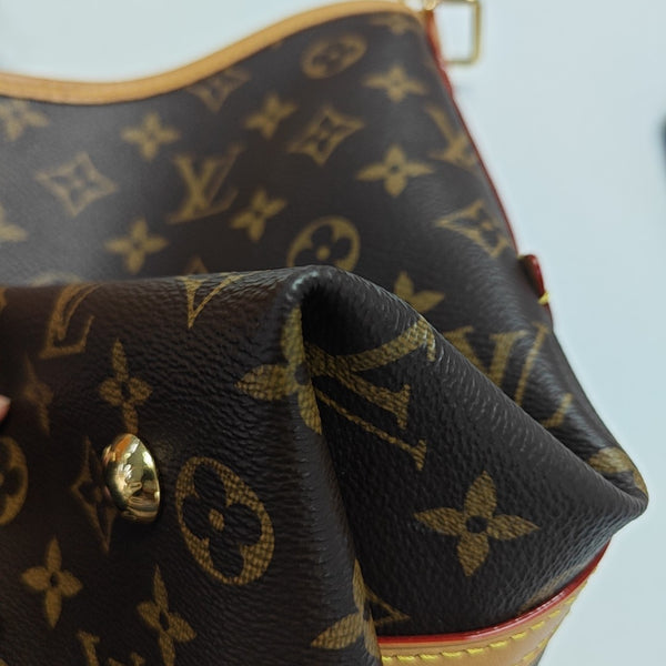 CARRYALL PM Monogram Coated Canvas Brown