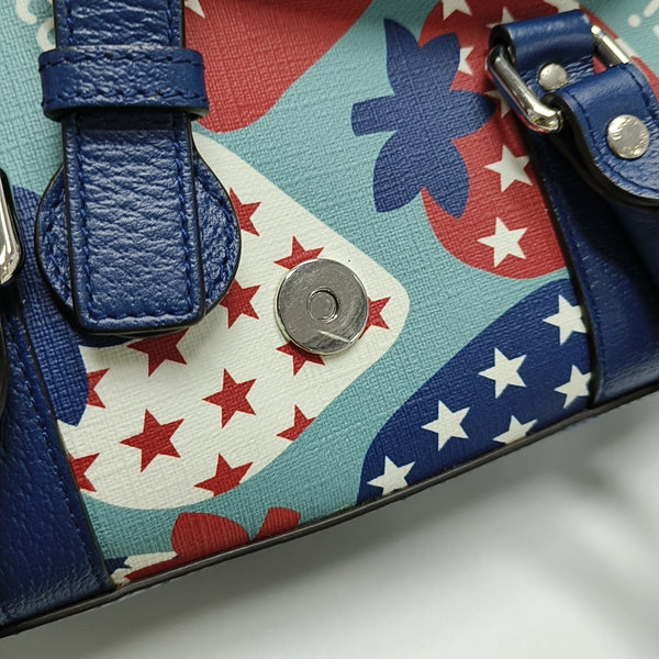 Coated Canvas Multicolor