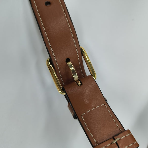 TRIOMPHE CANVAS Small Coated Canvas Brown