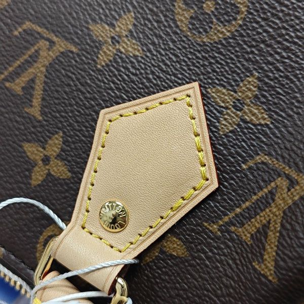 SPEEDY 20 Monogram Coated Canvas Brown