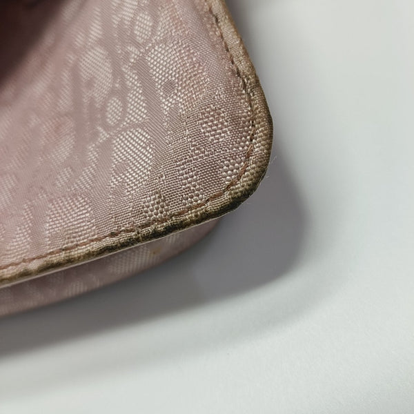 Oblique Canvas Belt Bag Pink