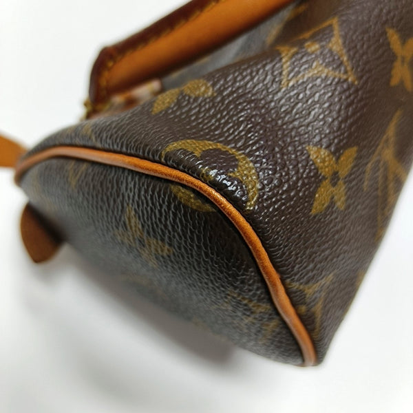 SPEEDY Nano Monogram Coated Canvas Brown