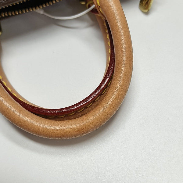 SPEEDY Nano Monogram Coated Canvas Brown