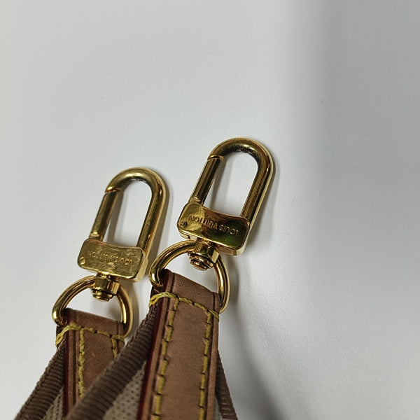SPEEDY 20 Monogram Coated Canvas Brown