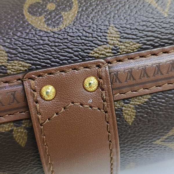 PAPILLON 19 Monogram Coated Canvas Brown