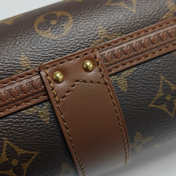 PAPILLON 19 Monogram Coated Canvas Brown