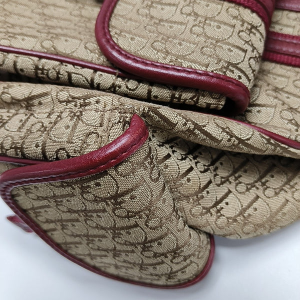 Street Chic Oblique Canvas Brown