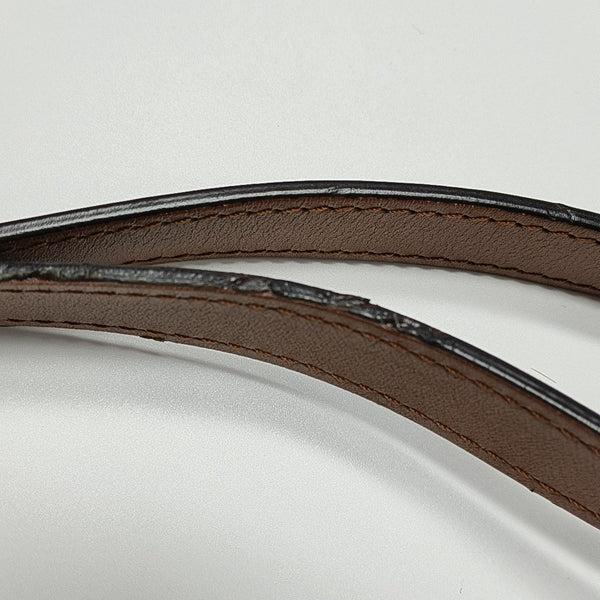 DAUPHINE Mini Monogram Coated Canvas Brown