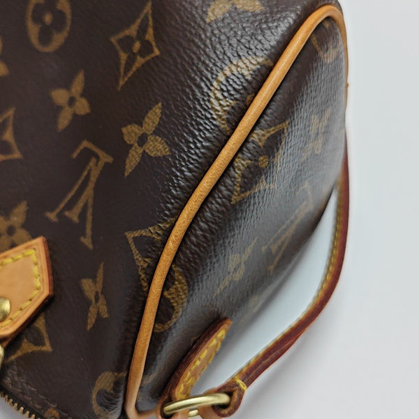 SPEEDY Nano Monogram Coated Canvas Brown
