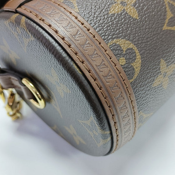 PAPILLON 19 Monogram Coated Canvas Brown