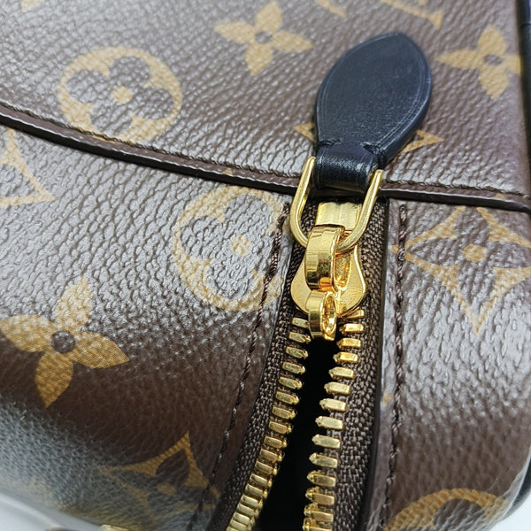 VANITY PM Monogram Coated Canvas Brown