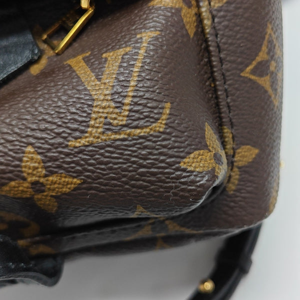 PALM SPRINGS Mini Monogram Coated Canvas Brown
