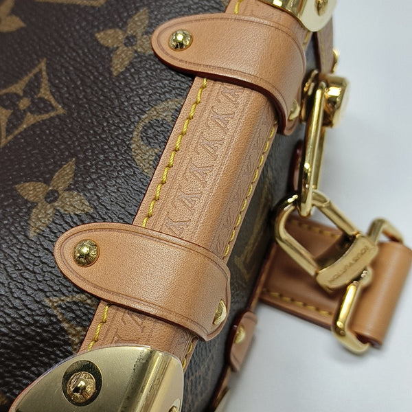 SIDE TRUNK PM Monogram Coated Canvas Brown