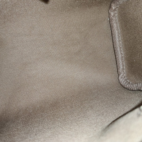 SPEEDY Nano Monogram Coated Canvas Brown