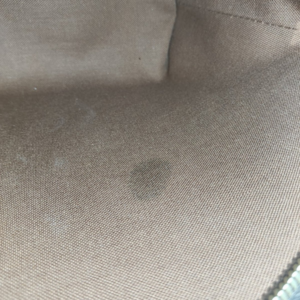 ELLIPSE Monogram Coated Canvas Brown