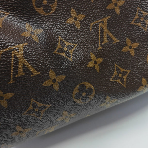 SPEEDY 25 Monogram Coated Canvas Brown