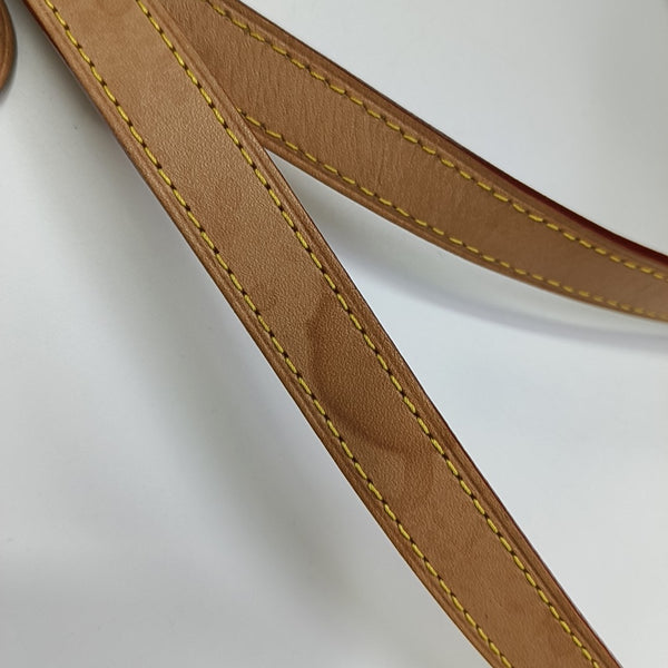 SPEEDY 25 Monogram Coated Canvas Brown
