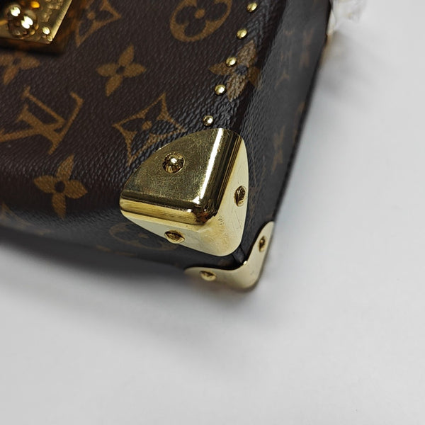 CAMERA BOX Monogram Coated Canvas Brown