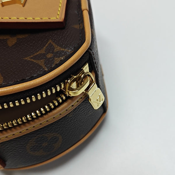 BOITE CHAPEAU Mini Monogram Coated Canvas Brown