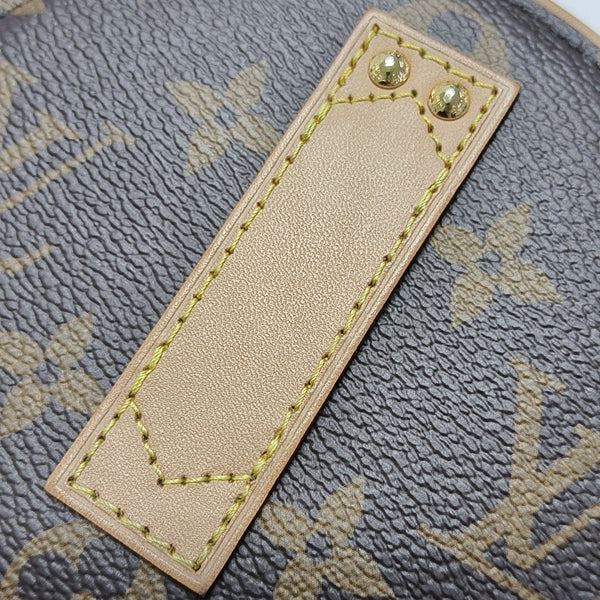BOITE CHAPEAU Mini Monogram Coated Canvas Brown