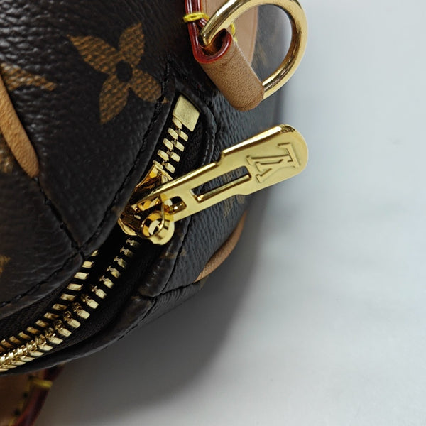SPEEDY 20 Monogram Coated Canvas Brown
