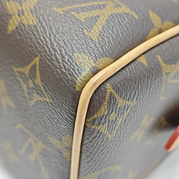 SPEEDY 20 Monogram Coated Canvas Brown