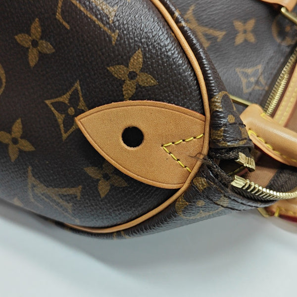 SPEEDY 25 Monogram Coated Canvas Brown