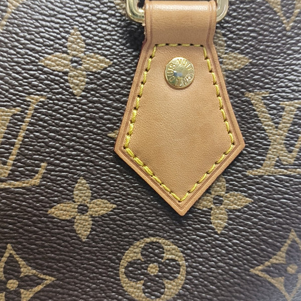 SPEEDY 20 Monogram Coated Canvas Brown