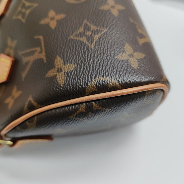 SPEEDY Nano Monogram Coated Canvas Brown
