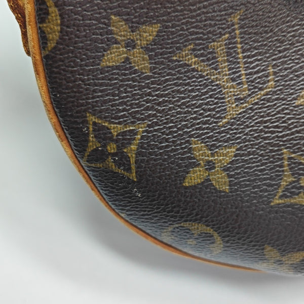 CROISSANT PM Monogram Coated Canvas Brown