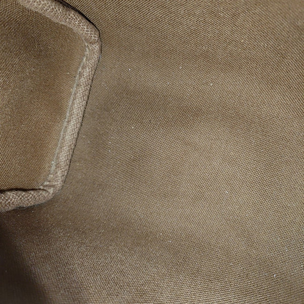 SPEEDY Nano Monogram Coated Canvas Brown