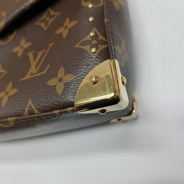TRUNKIE Monogram Coated Canvas Brown