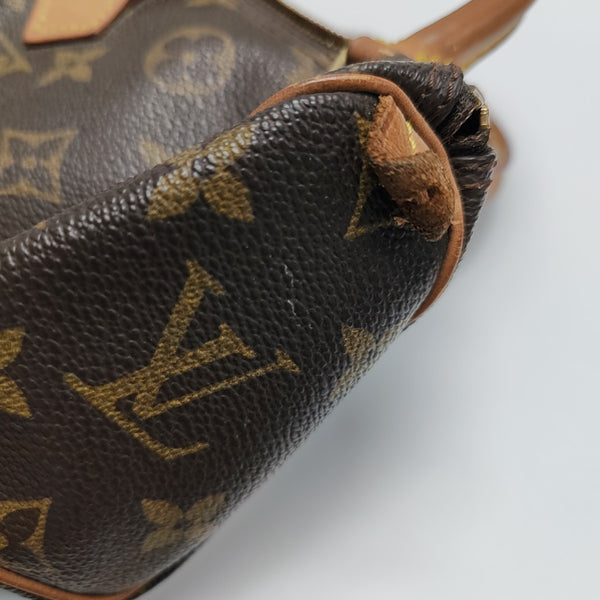 SPEEDY Nano Monogram Coated Canvas Brown