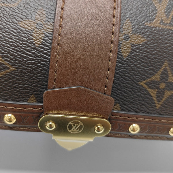 PAPILLON 19 Monogram Coated Canvas Brown
