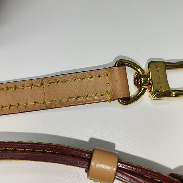 SPEEDY Nano Monogram Coated Canvas Brown