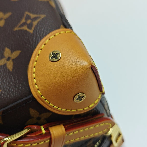 SOFT TRUNK PM Monogram Coated Canvas Brown
