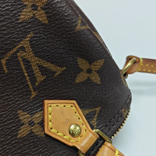 SPEEDY Nano Monogram Coated Canvas Brown