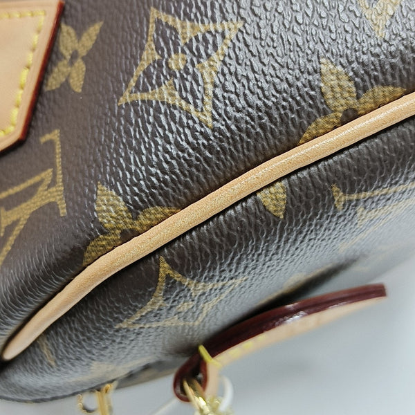 SPEEDY 20 Monogram Coated Canvas Brown