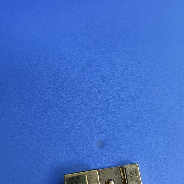 Sylvie Small Calfskin Blue