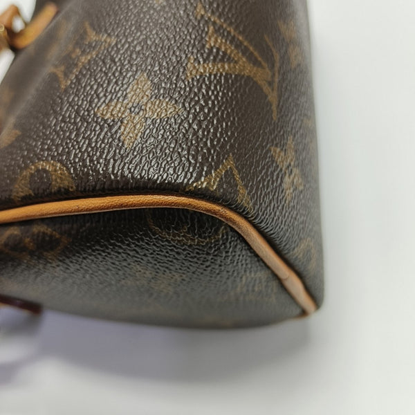 SPEEDY Nano Monogram Coated Canvas Brown