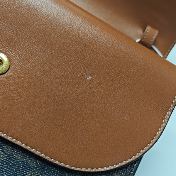 TRIOMPHE CANVAS Small Coated Canvas Brown
