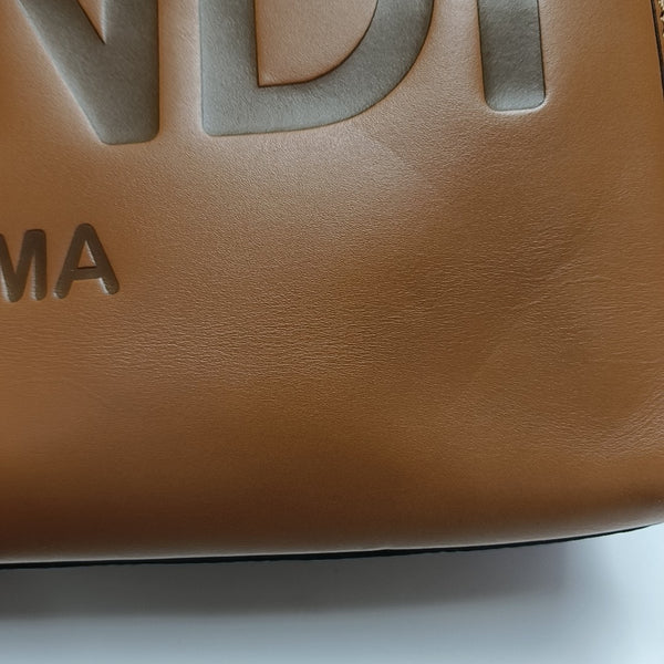Sunshine Medium Calfskin Brown
