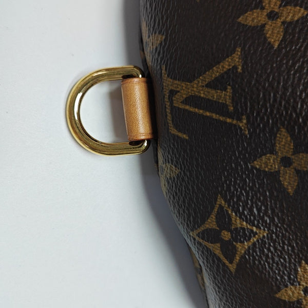 BUMBAG Monogram Coated Canvas Brown