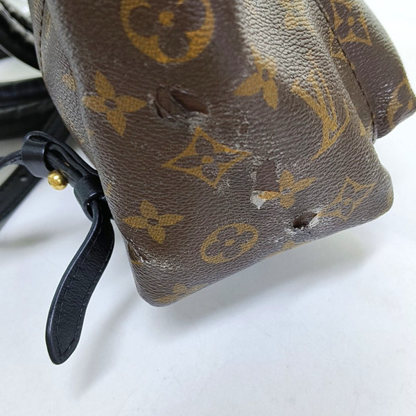 PALM SPRINGS PM Monogram Coated Canvas Brown