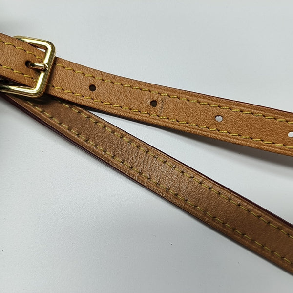 SPEEDY Nano Monogram Coated Canvas Brown