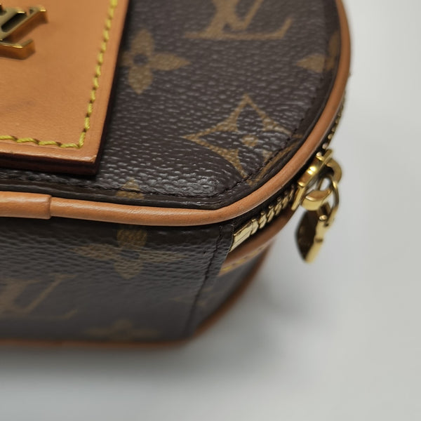 BOITE CHAPEAU Mini Monogram Coated Canvas Brown