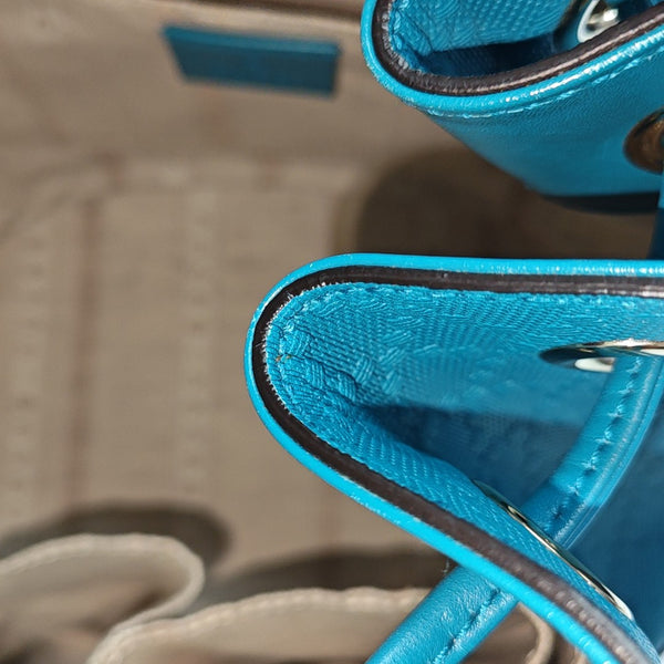 Diamante Calfskin Blue