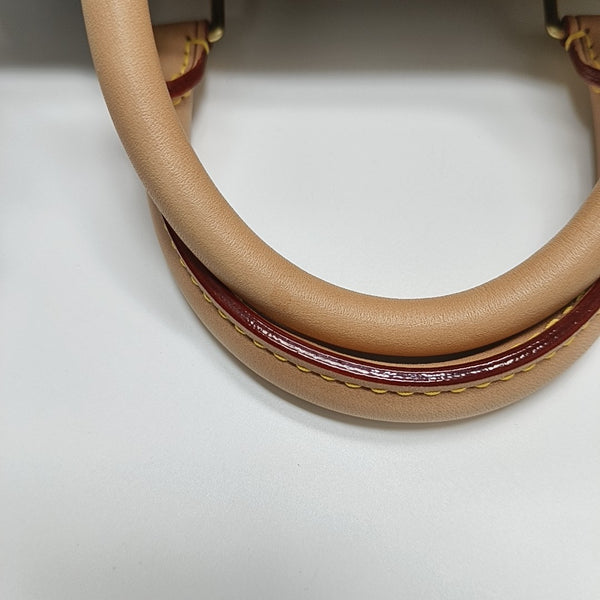 SPEEDY 25 Monogram Coated Canvas Brown